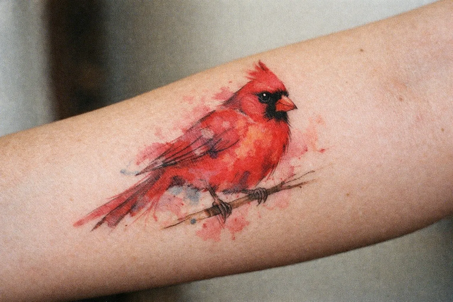 Watercolor-style cardinal tattoo on forearm with soft color bleeds
