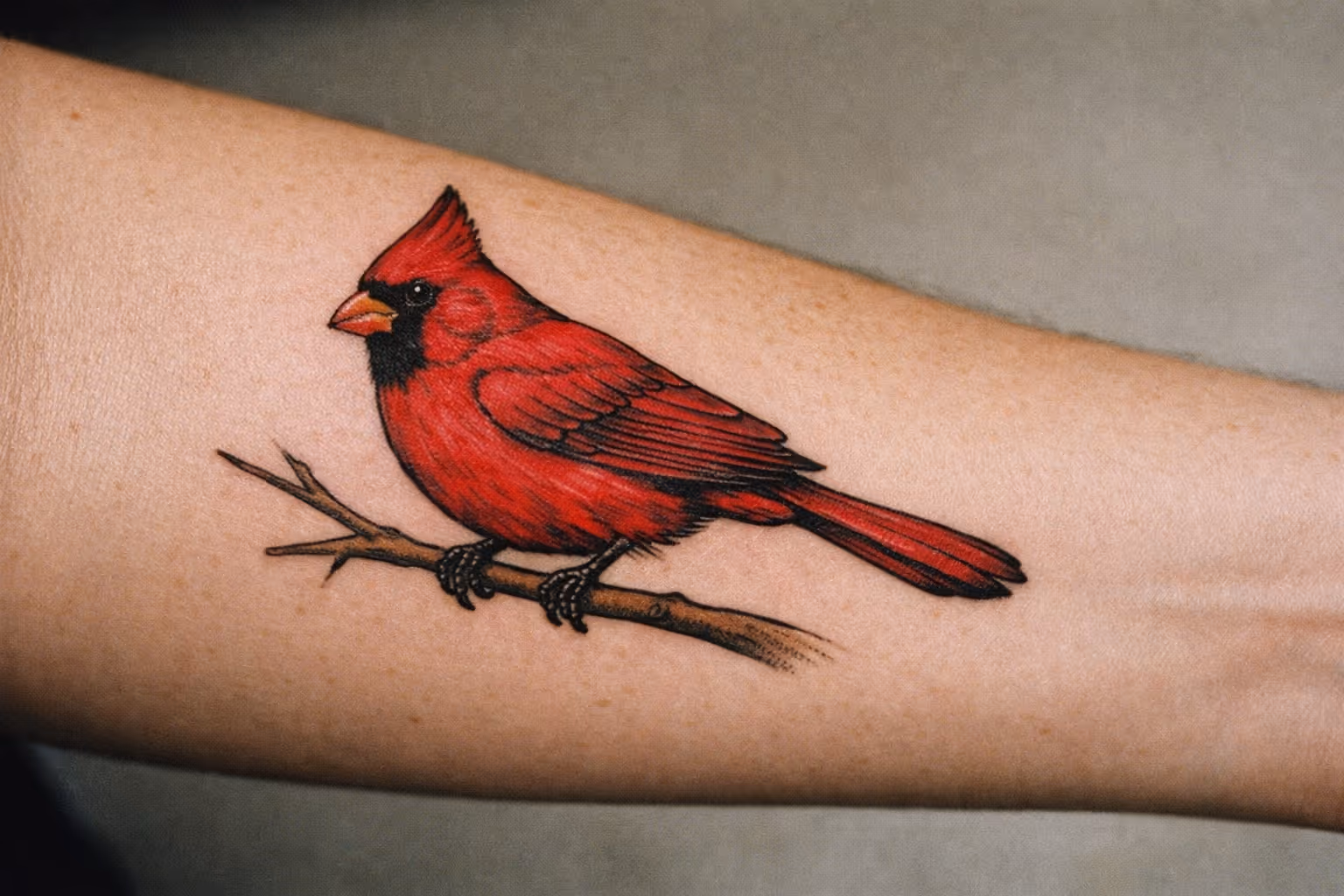 Editorial close-up of a single cardinal tattoo on a forearm, showing bold red ink and detailed feather shading.
