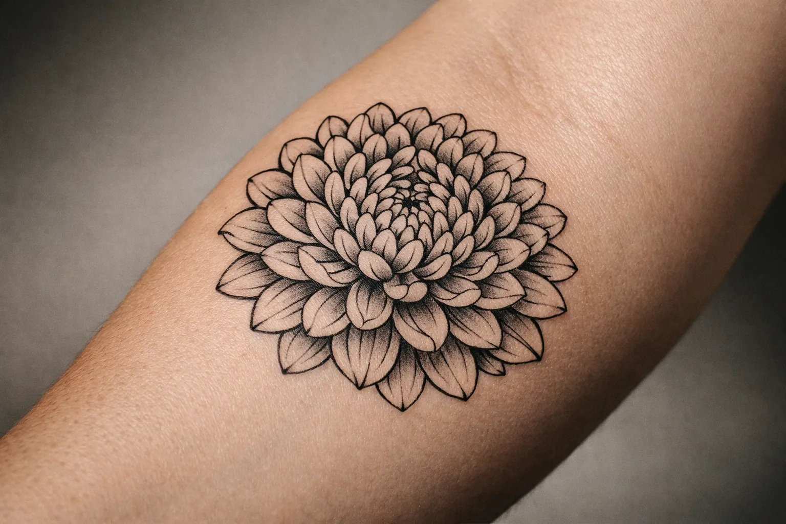 Chrysanthemum tattoo on inner forearm in black and grey, close-up