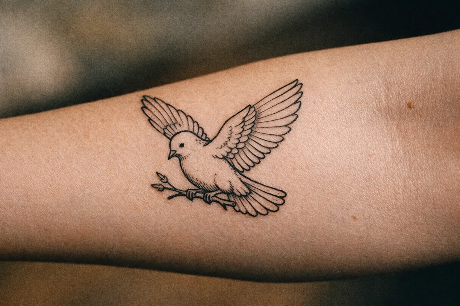 Close-up forearm with a dove tattoo in flight, black ink with clean linework