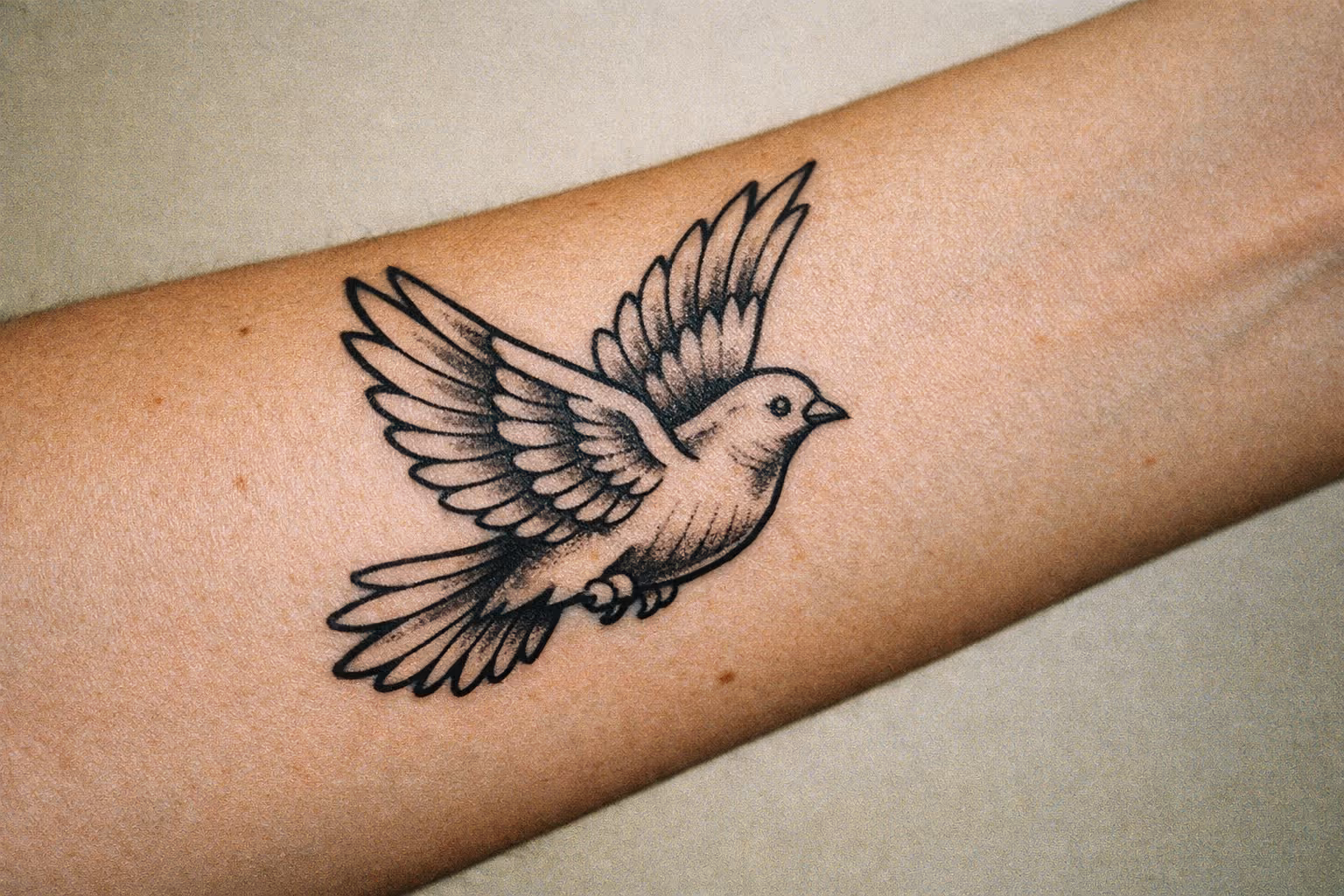 Editorial close-up of a dove tattoo on a forearm captured in soft studio light