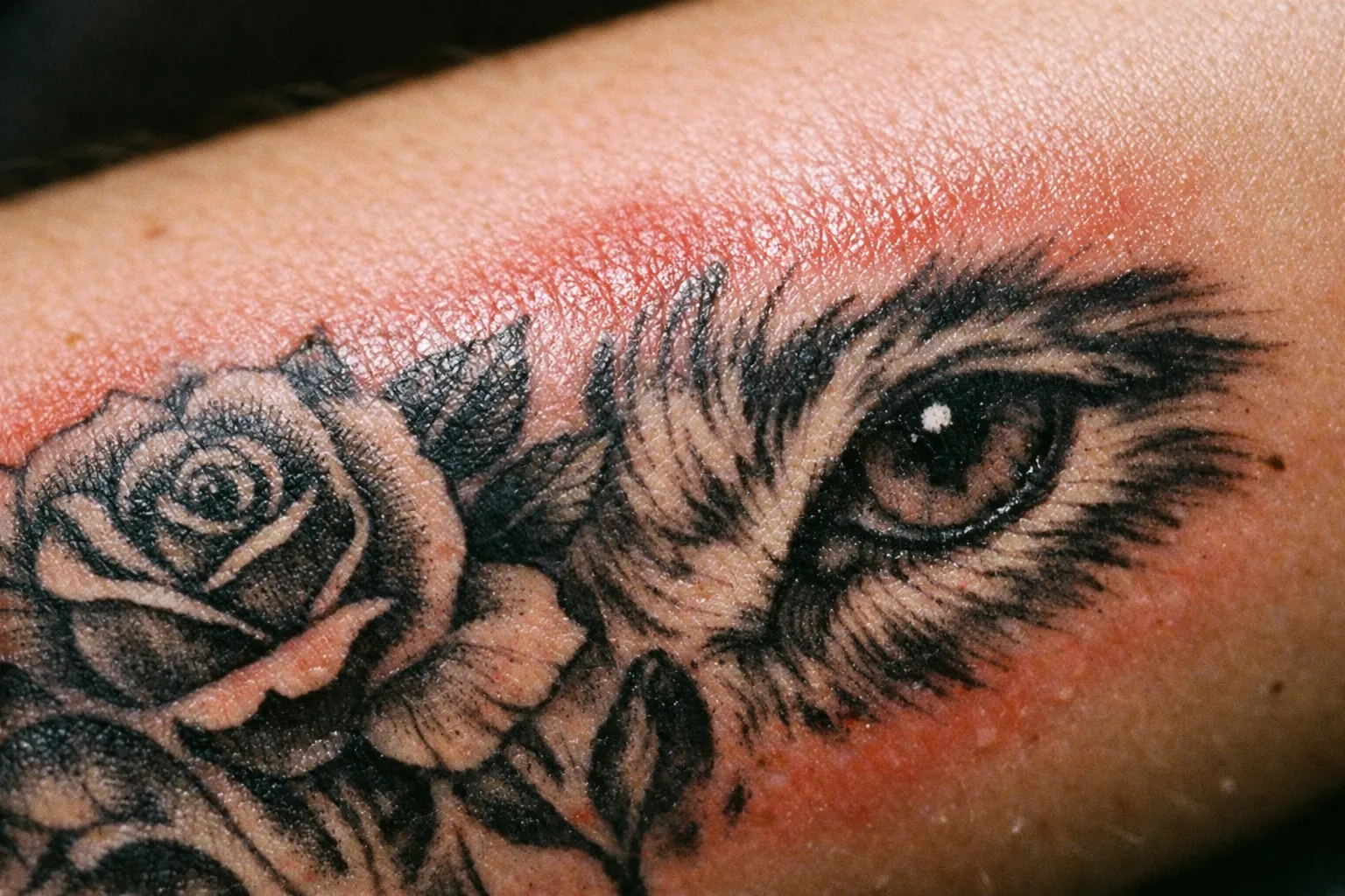Forearm tattoo with subtle redness and slight swelling, illustrating infection vs healing