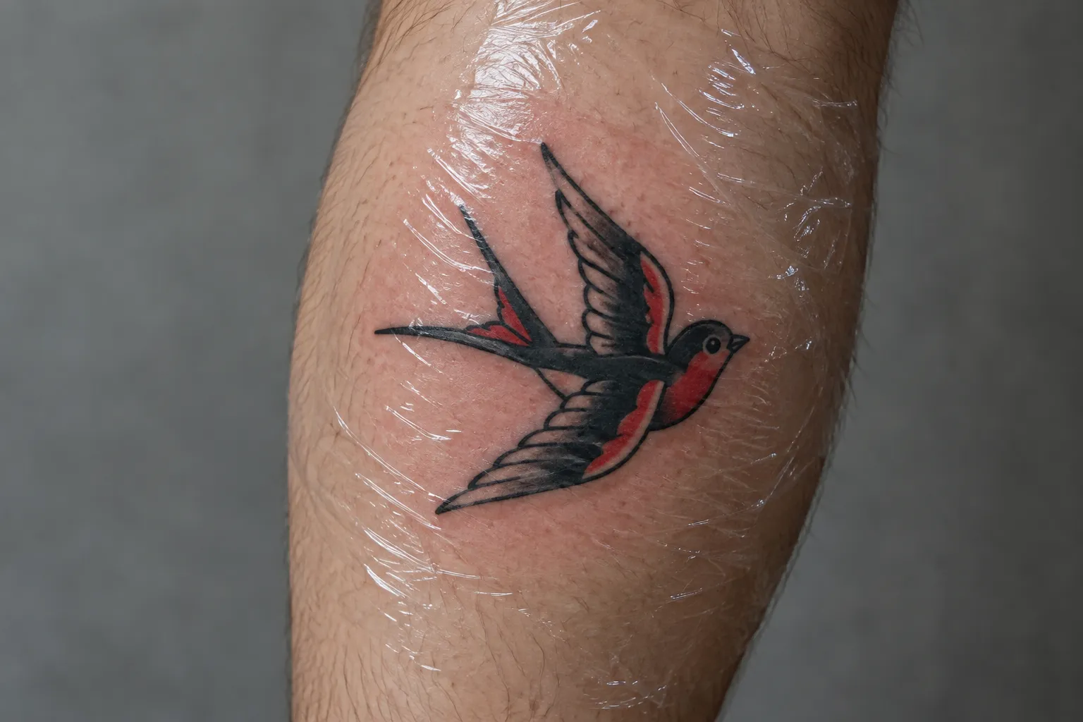 A red-and-black swallow tattoo is covered with clear wrap on a person's calf.