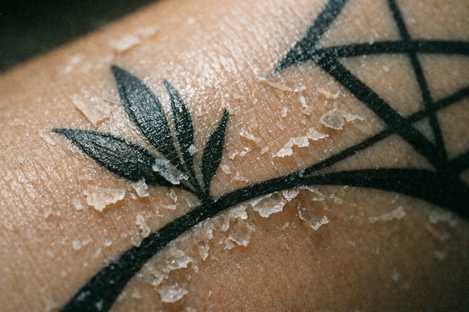 Forearm tattoo with subtle sheen on peeling skin suggesting moisturization