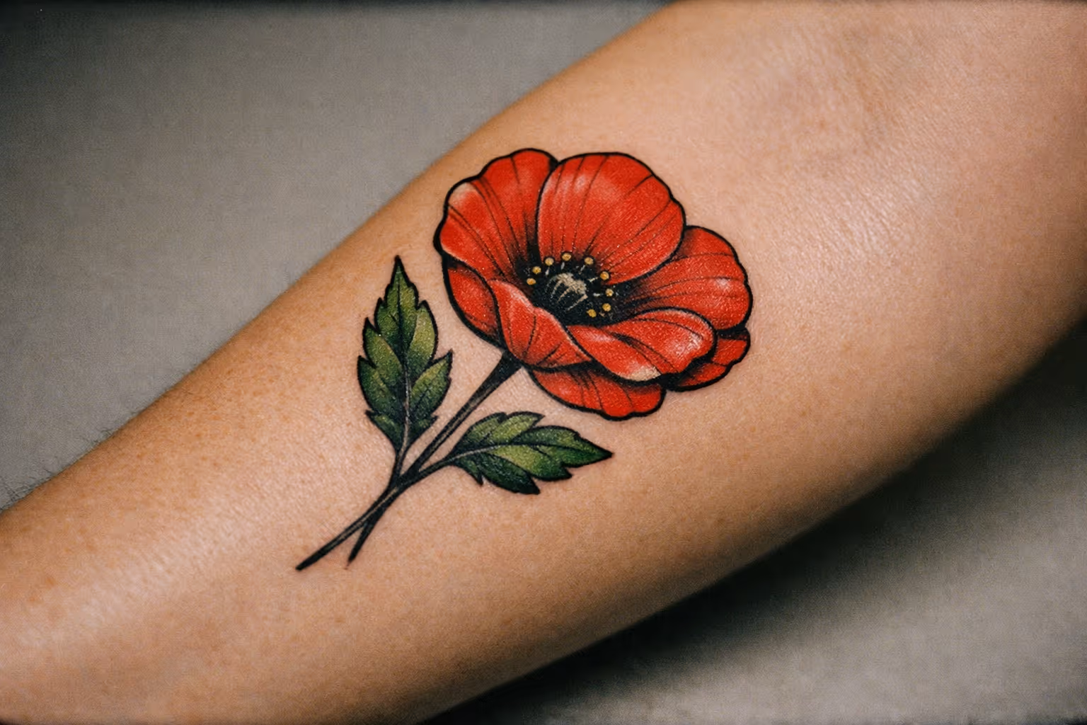 Feature cover image: close-up of a single red poppy tattoo on forearm with crisp linework and subtle shading