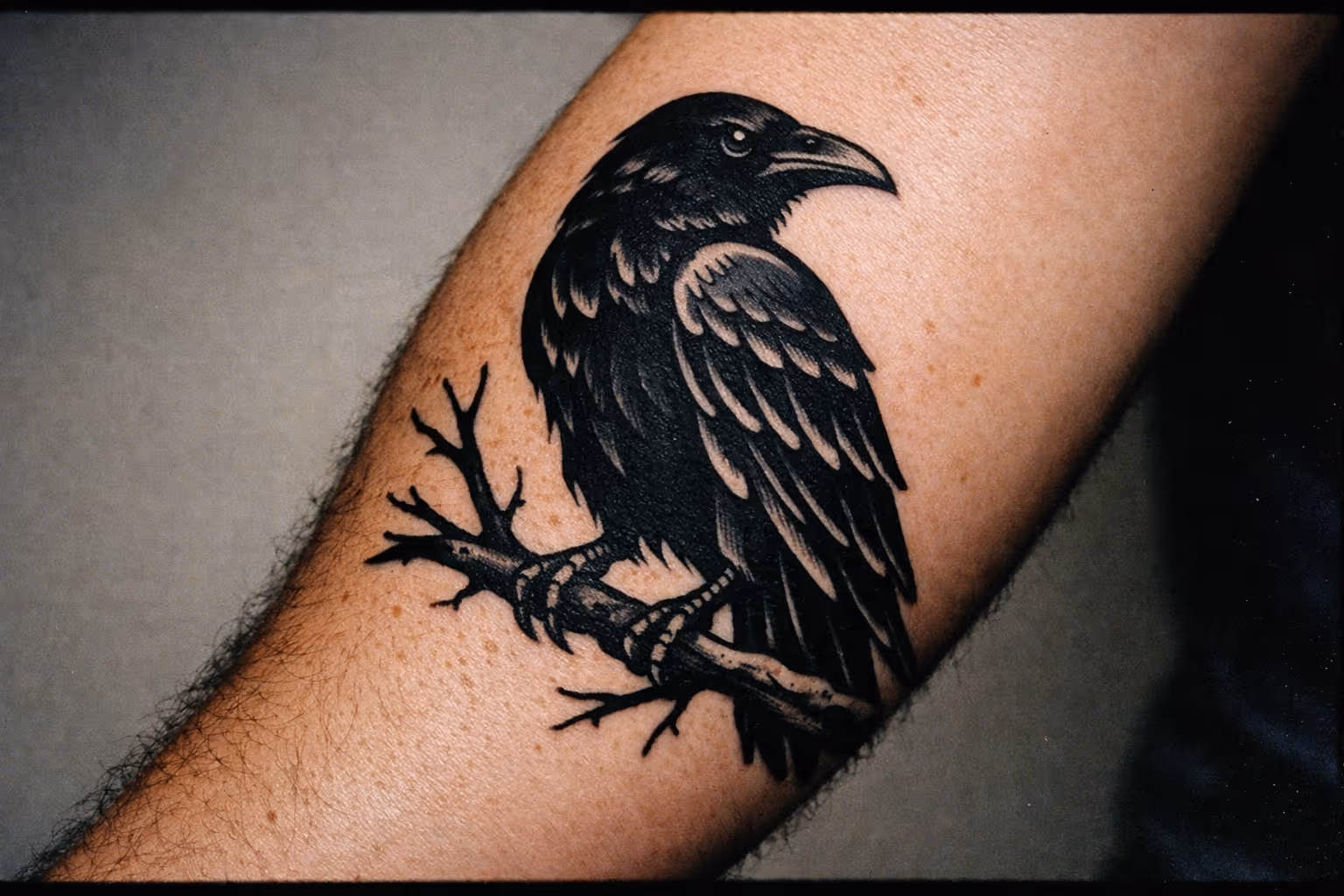 Editorial hero: forearm raven tattoo in classic blackwork style