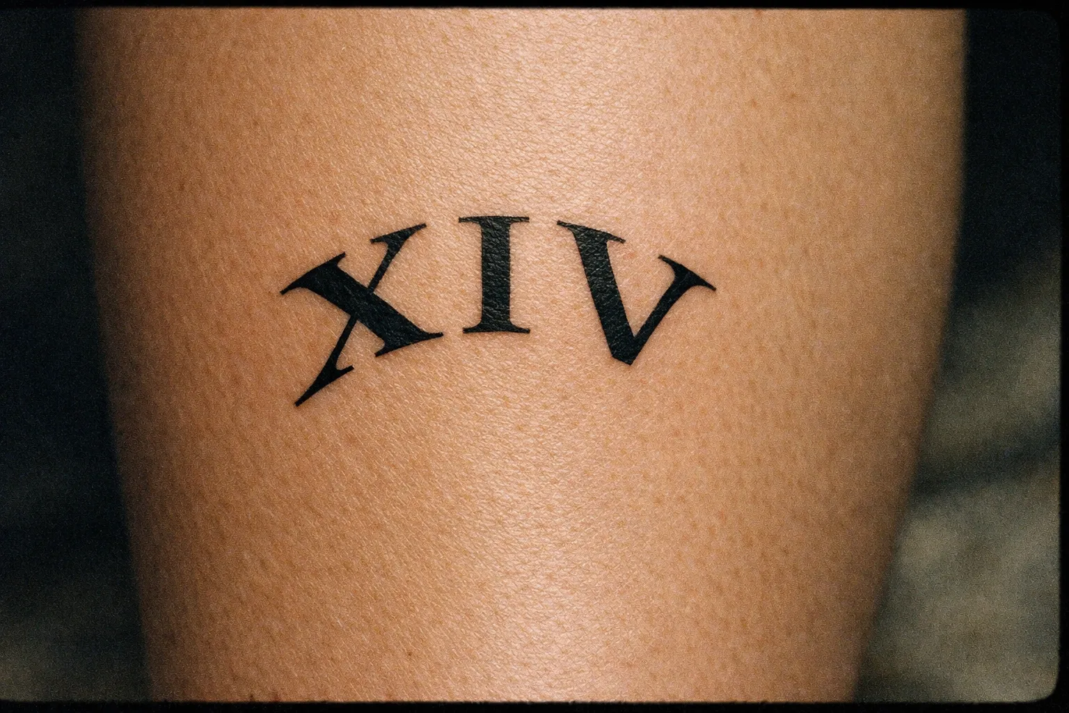 Calf with a curved set of Roman numerals forming a decorative arc
