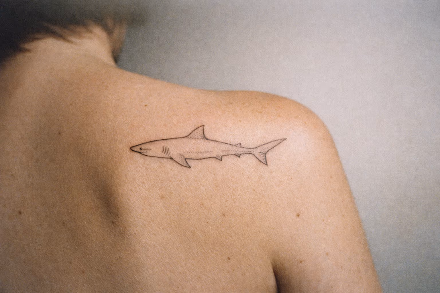 A simple shark tattoo is inked on a person's upper back near the shoulder.