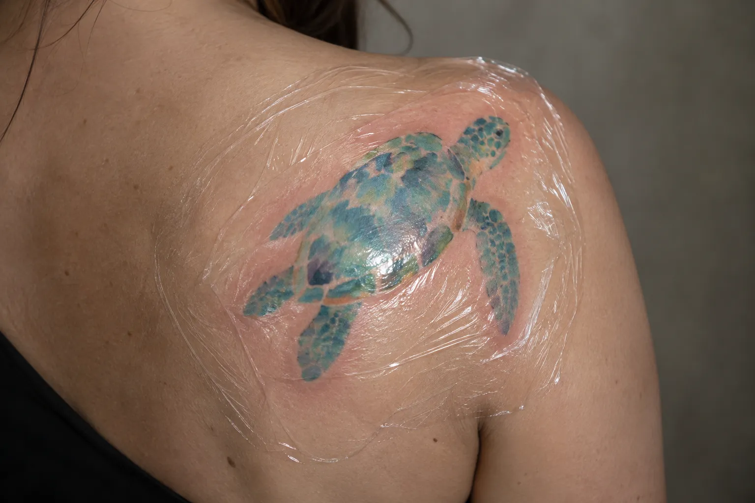 A freshly inked watercolor sea turtle tattoo sits under clear film on a person's shoulder blade.