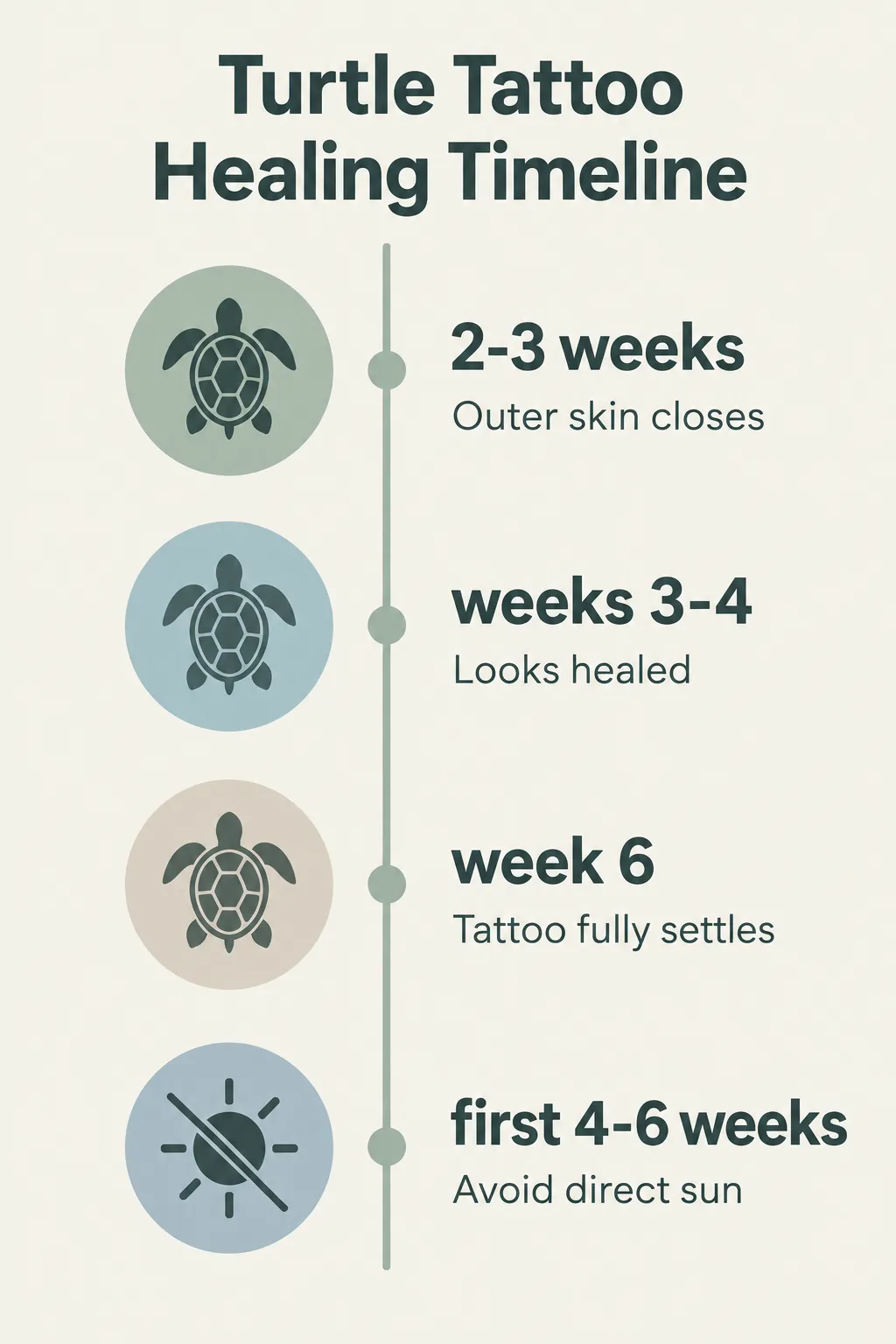 Turtle tattoo healing timeline: the outer skin closes in 2-3 weeks, looks healed by weeks 3-4